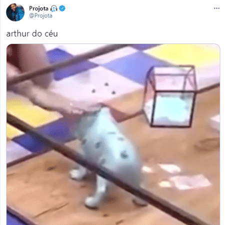 BBB 21: Projota brinca com vídeo de Arthur conversando com objeto - Reprodução/Twitter @Projota - Reprodução/Twitter @Projota