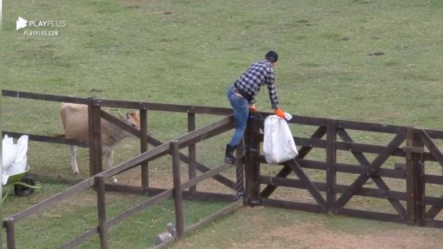 A Fazenda 2021: Rico Melquiades se assusta com a vaca de chifre - Reprodução/PlayPlus