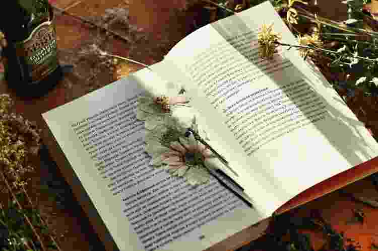 Flores secas guardadas em livros: um clássico que virou tendência - Unsplash - Unsplash
