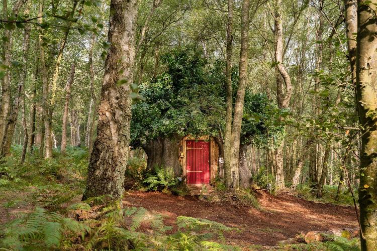 Em uma campanha de marketig, o Airbnb colocou para alugar a casinha do Ursinho Pooh na floresta