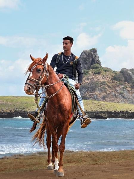 Vaqueiros em Noronha temem que cavalos sejam retirados da ilha; administração diz que proposta só seria para abandonos - Reprodução/Instagram