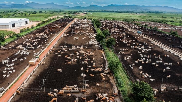 Fazenda Umuarama, de pecuária de ponta, em Canaã dos Carajás (PA) - Ricardo Teles - Ricardo Teles
