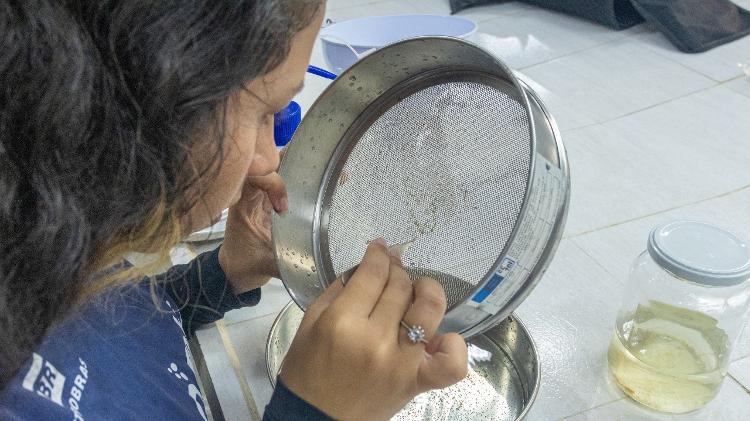 Cientistas usam várias técnicas e exames laboratoriais para quantificar plástico na água Cientistas usam várias técnicas e exames laboratoriais para quantificar plástico na água