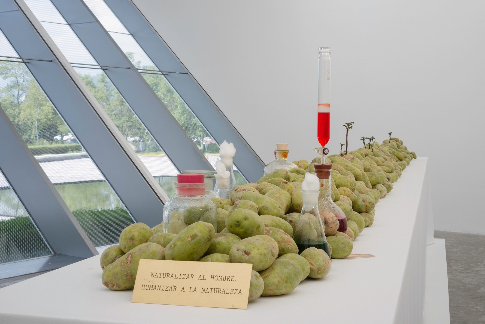 Obra de Victor Grippo, da Argentina - Divulgação