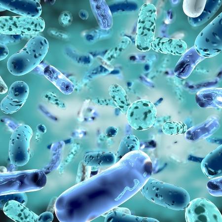 Mais de 3 mil pessoas adoeceram depois que uma bactéria "escapou", em 2019, de um laboratório biofarmacêutico - iStock