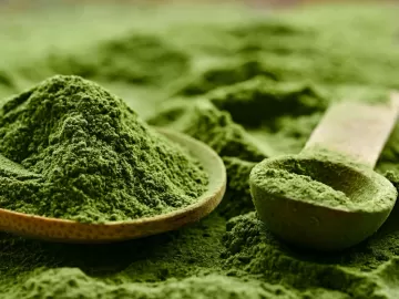 Spirulina: suplemento da alga auxilia no emagrecimento e no treino?