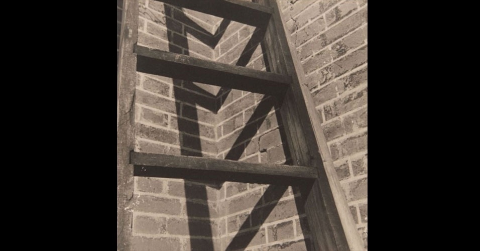 Brasileiros no MoMA - Gertrudes Altschul 04 - Divulgação