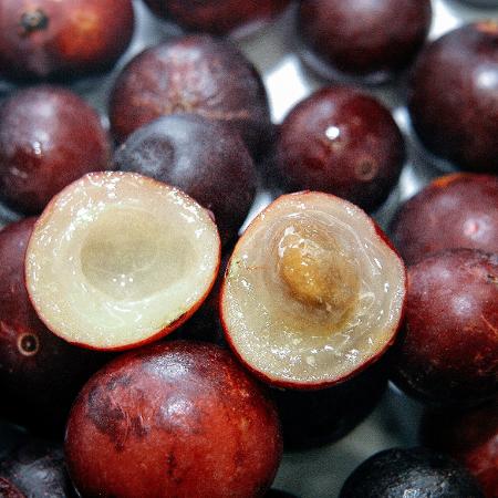 Já ouviu falar em camu-camu? Esta frutinha originária da Amazônia é rica em vitamina C - Robson Ventura/Folhapress