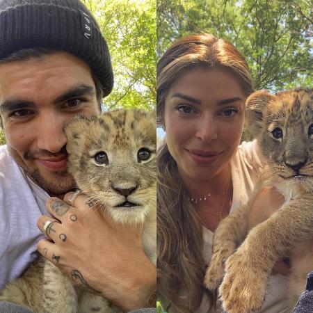 Caio Castro e Grazi Massafera tiram foto com filhotes de leão - REPRODUÇÃO/INSTAGRAM