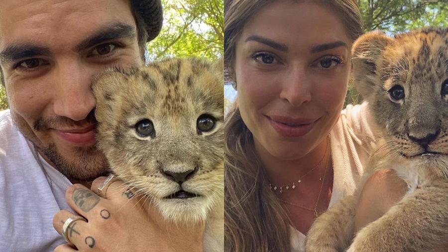 Caio Castro e Grazi Massafera tiram foto com filhotes de leão - REPRODUÇÃO/INSTAGRAM