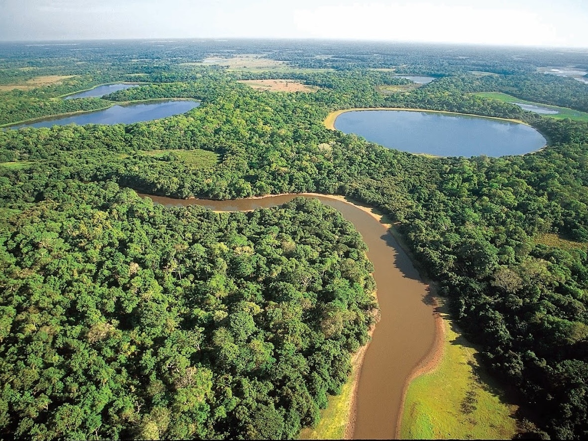 Pantanal OnLine - Site de Notícias de Colniza e Região - Pantanal Online