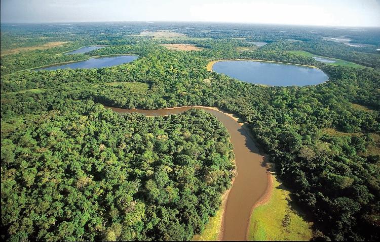 Vista aérea do Pantanal, no Mato Grosso do Sul - Rico / @visitmsoficial - Rico / @visitmsoficial