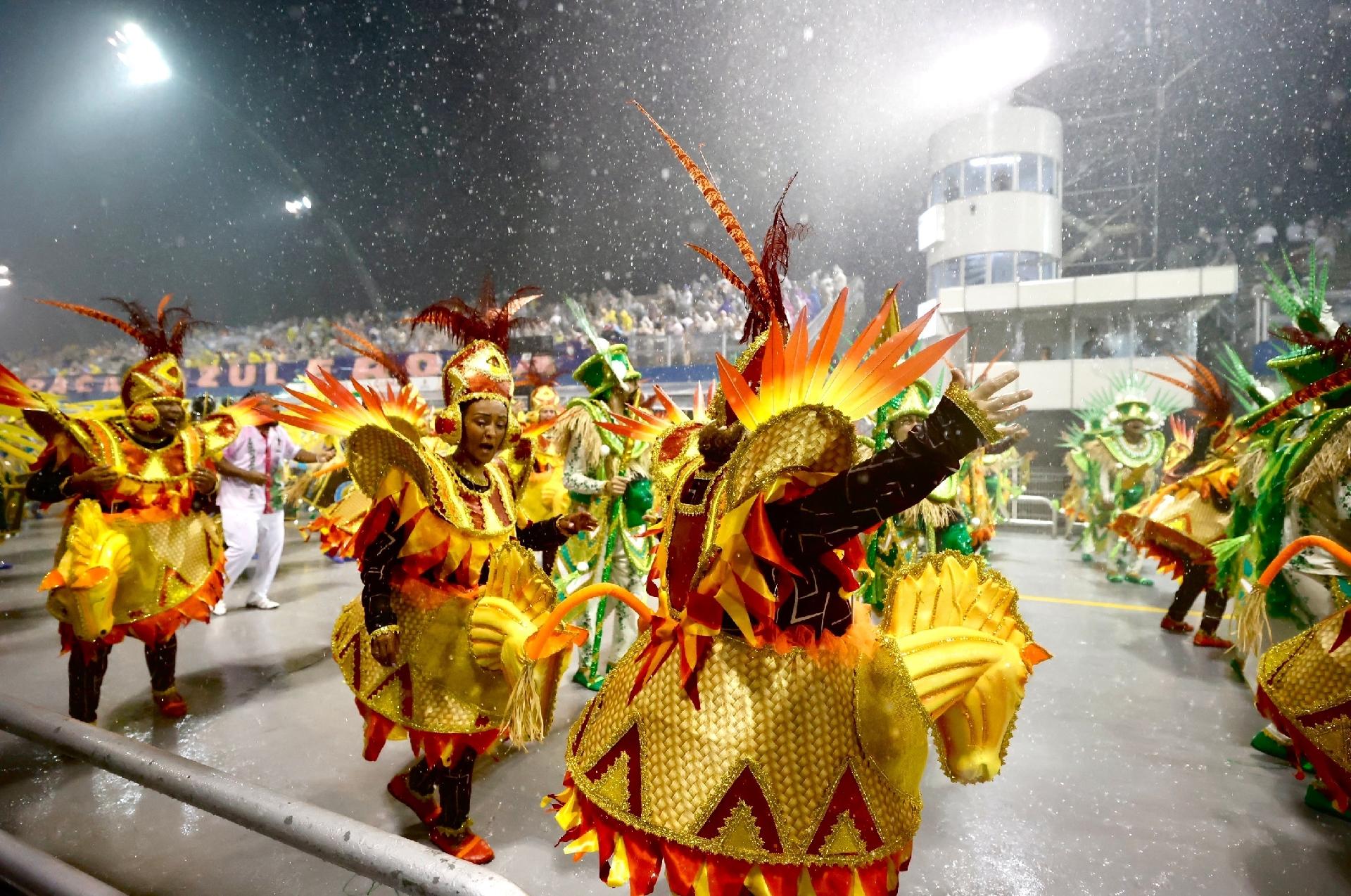 Barroca Zona Sul faz homenagem a indígenas do Pantanal - Ricardo Matsukawa/UOL