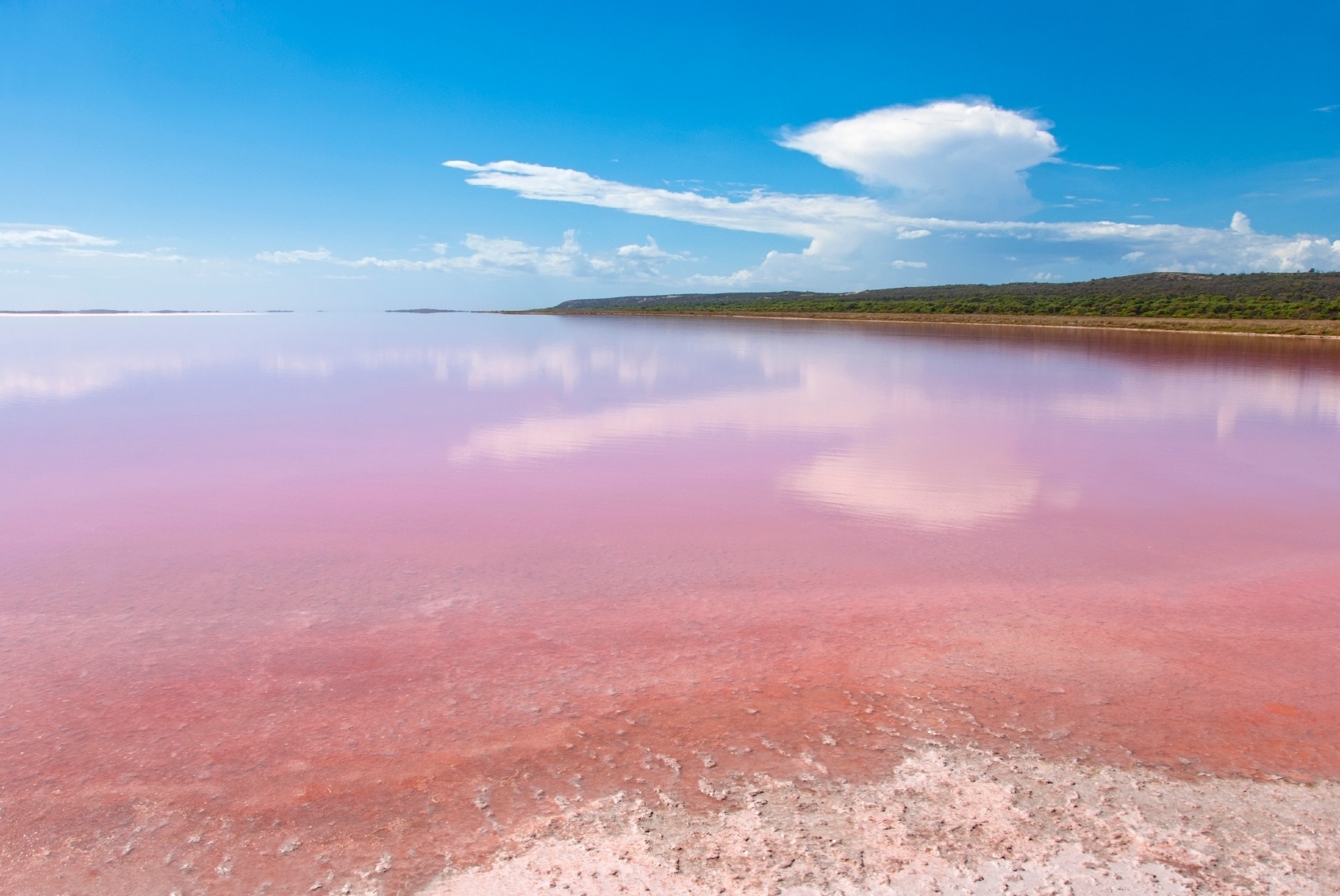 Fotos Ilha Exótica Da Austrália Abriga Um Lago Cor De Rosa Conheça A