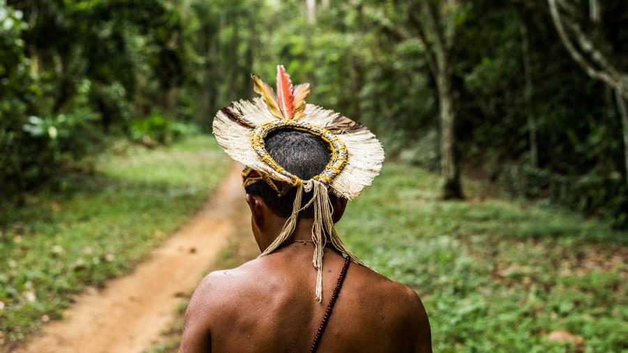 Caminhada acompanhado dos índios que vivem na Aldeia Pataxó Pé do Monte, localizada no Parque Nacional e Histórico do Monte Pascoal, sul da Bahia - André Olmos/Creative Commons