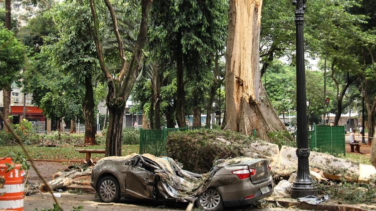 Veículo destruído por árvore centenária que caiu no Largo do Arouche, no centro da cidade de São Paulo Veículo destruído por árvore centenária que caiu no Largo do Arouche, no centro da cidade de São Paulo