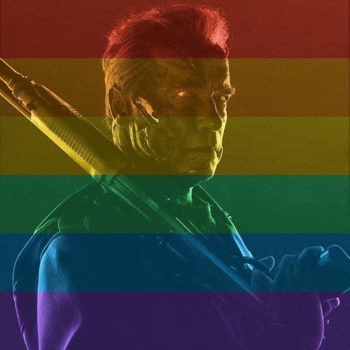 26.jun.2015 - Arnold Schwarzenegger não precisou deixar a pose de valentão para colorir sua foto do perfil do Facebook em comemoração à legalização do casamento gay nos Estados Unidos