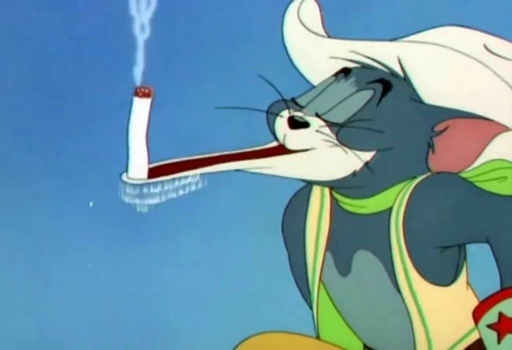 Tom e Jerry - Reprodução