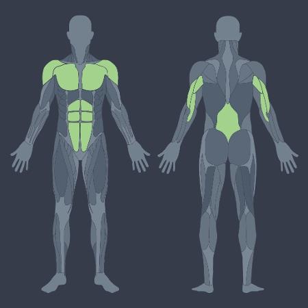 Movimento certo - flexão de braço - Arte UOL - Arte UOL