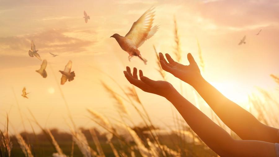 Fazer o divórcio energético pode libertá-la para viver sua vida - iStock