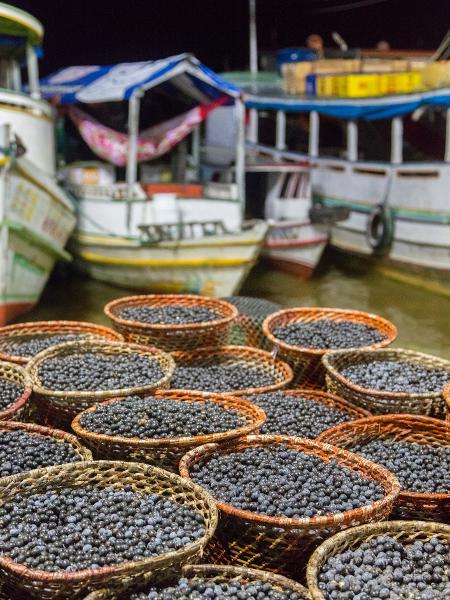 Lenda indígena de Belém conta história do açaí - Luoman/Getty Images - Luoman/Getty Images