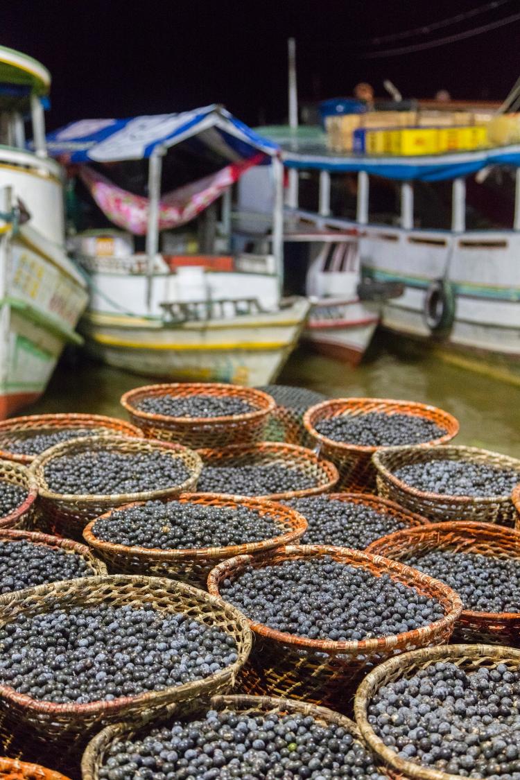 A produção de açaí chegando ao porto de Belém - Luoman/Getty Images - Luoman/Getty Images