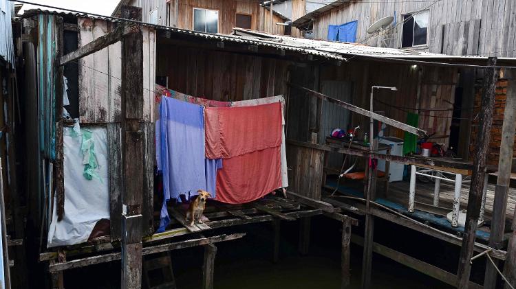 Vila da Barca, bairro de palafitas sem saneamento no centro da cidade, fica próximo de edifícios de apartamentos de luxo