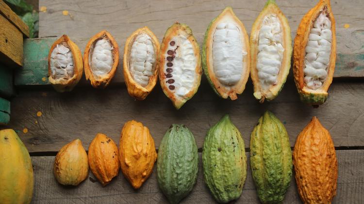 Cacau - Na'kau/Divulgação - Na'kau/Divulgação