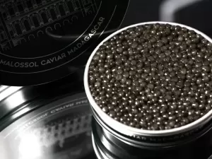 Primeiro caviar africano vem de Madagascar e já custa R$ 70 mil por quilo