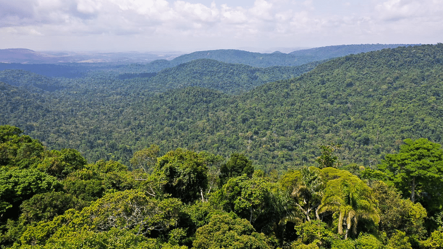 Área de Mata Atlântica preservada Área de Mata Atlântica preservada