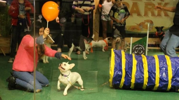 Sthefany Brito se diverte em gincana com seu cão Snow em um shopping do Rio - Ag.News - Ag.News