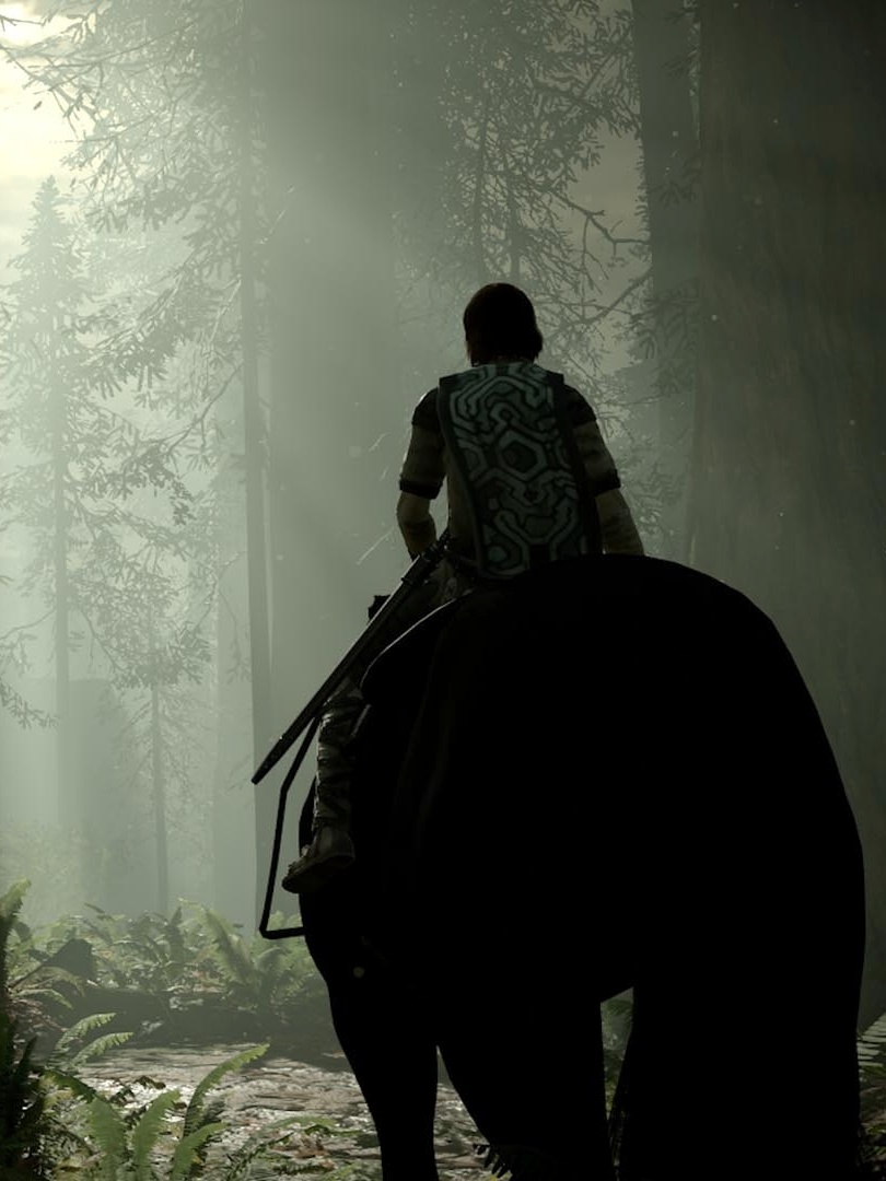 Shadow of the Colossus - Entenda a história 