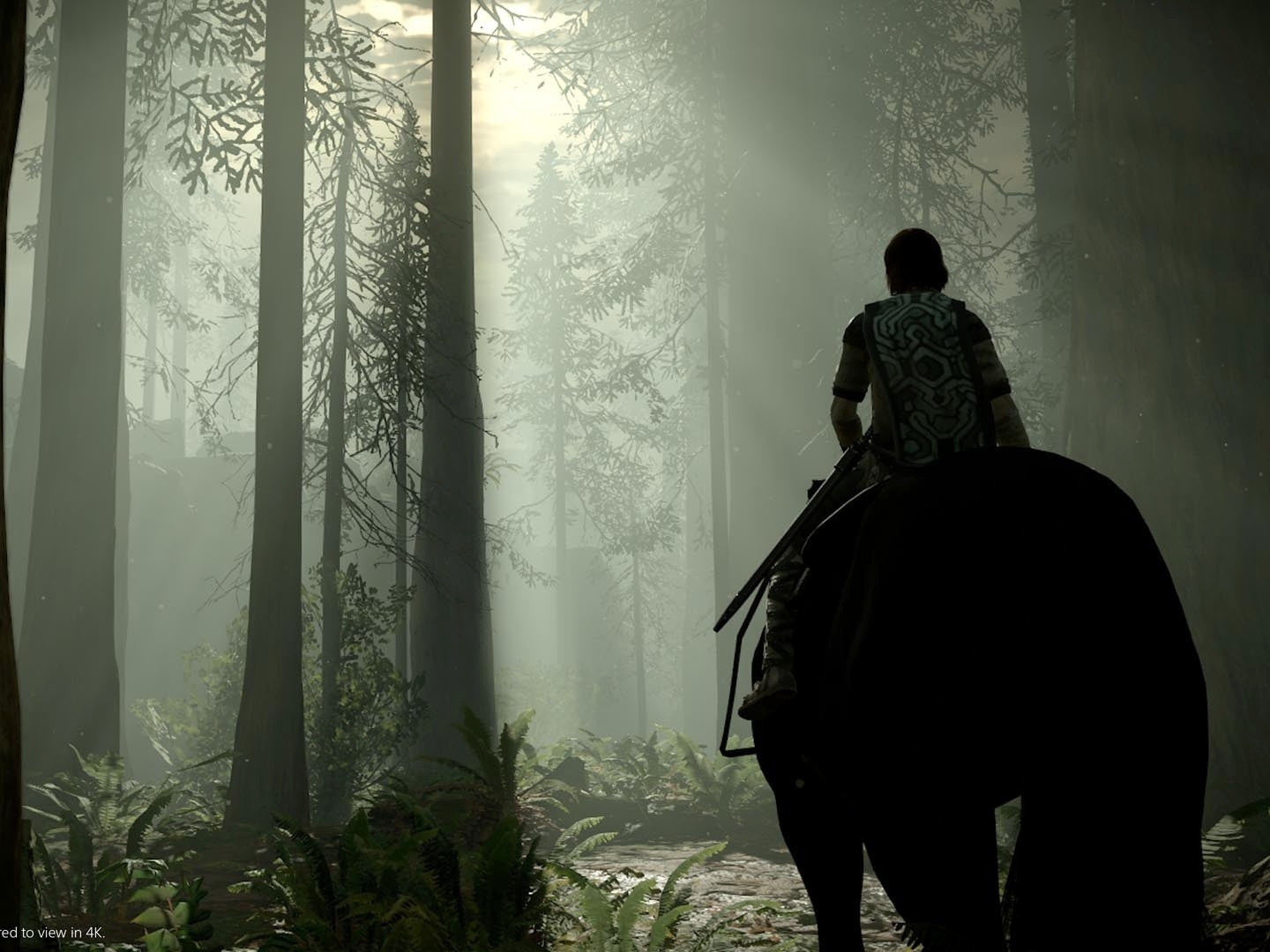 Saiba como aumentar a estâmina em Shadow of the Colossus