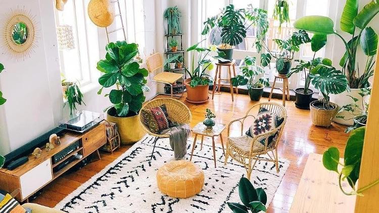 Plantas ajudam na "respiração" dos ambientes - Reprodução/Pinterest - Reprodução/Pinterest