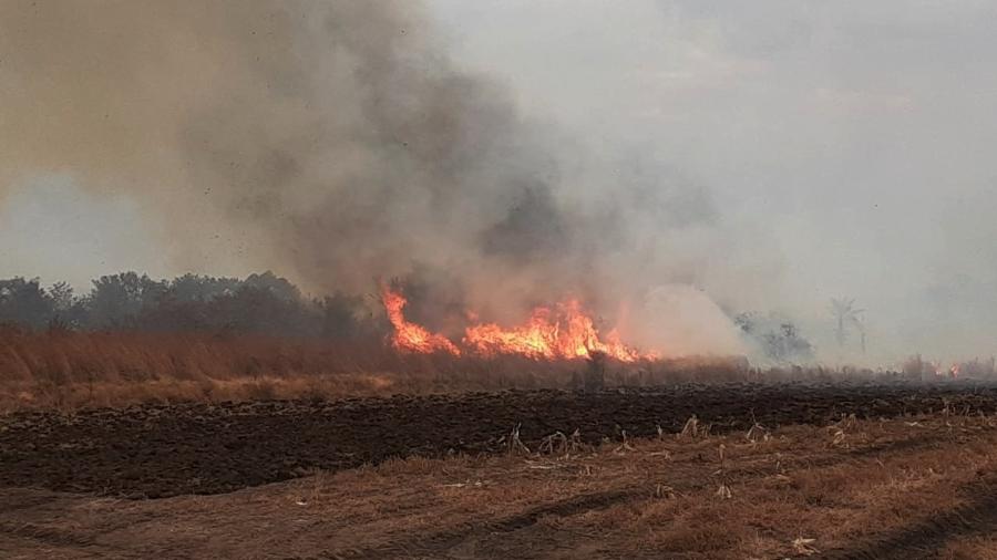 Em plena pandemia, incêndio na região de Bonito foi mais um golpe contra o turismo - Fundação Neotrópica do Brasil