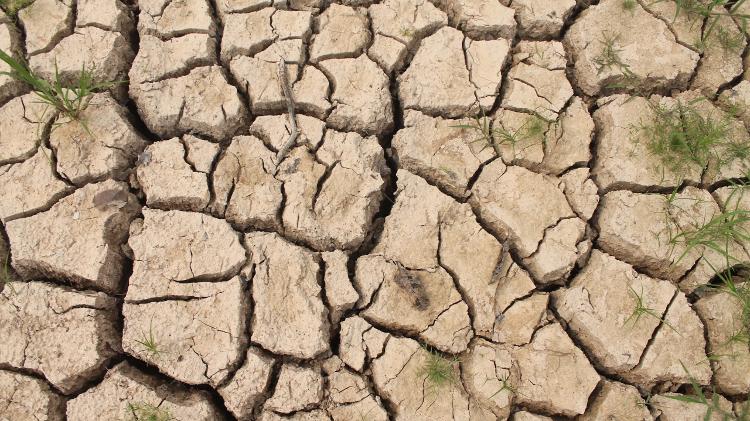 Solo rachado do Lago do Prato, no Parque Nacional de Anavilhanas, durante a seca histórica de 2023, em novembro Solo rachado do Lago do Prato, no Parque Nacional de Anavilhanas, durante a seca histórica de 2023, em novembro