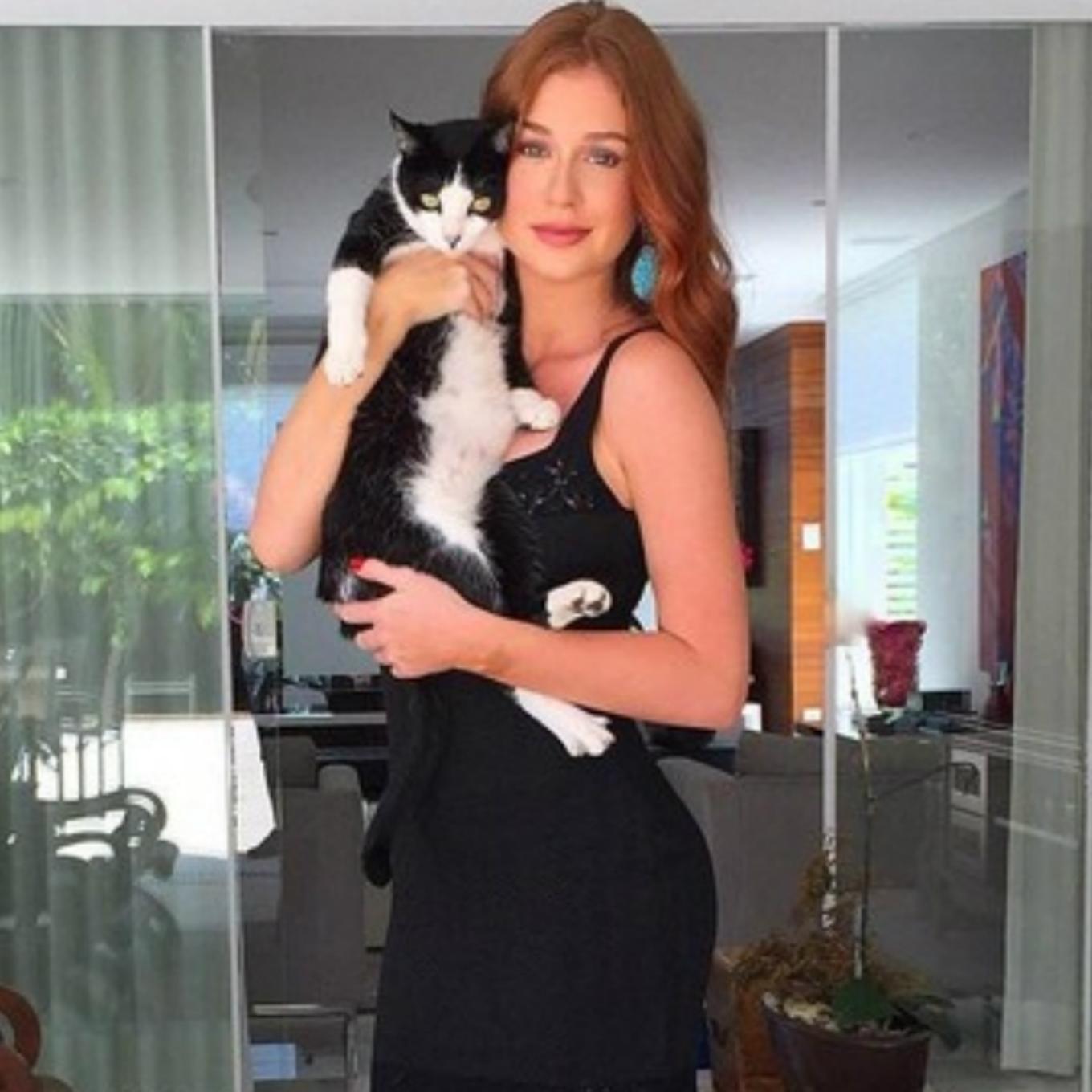 Dia Internacional do Gato: 15 famosas que são mães de felinos muito fofos - Instagram