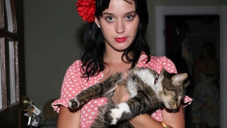 Katy Perry e a gata Kitty Purry - Reprodução/Instagram