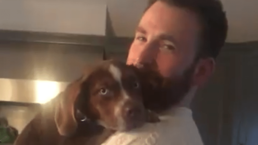 Chris Evans abraça Mylo, o novo cachorro da ginasta Aly Raisman, em vídeo fofo - Reprodução/Twitter