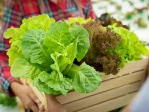 Essas são as 10 verduras eleitas as mais saudáveis do mundo