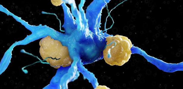 Composto à base de cobre reduz proteína do Alzheimer e melhora memória