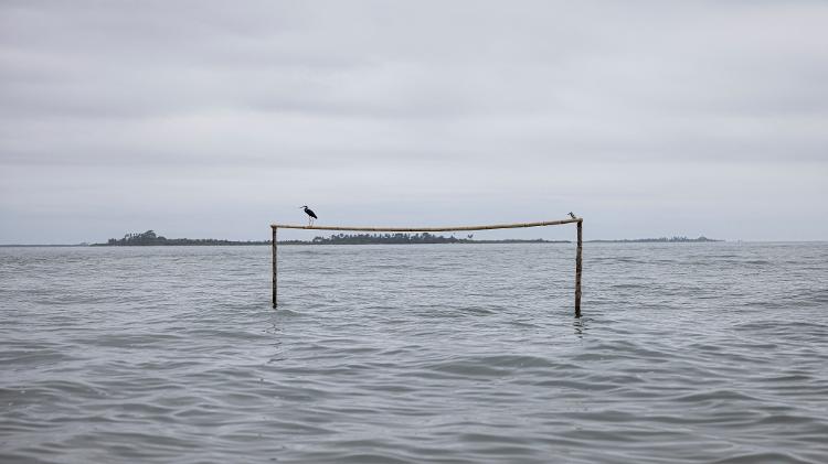 Um pássaro fica no topo de uma trave durante a maré alta na Ilha Nyangai Um pássaro fica no topo de uma trave durante a maré alta na Ilha Nyangai