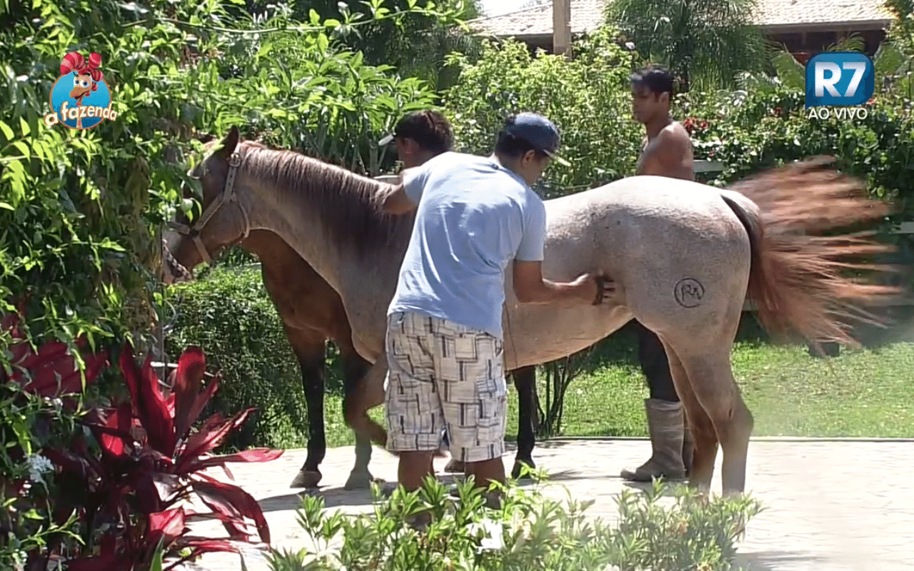 8.out.2015 - Após duas semanas cuidando dos cavalos, Luka Ribeiro se declarou "pai" deles - Reprodução/Record