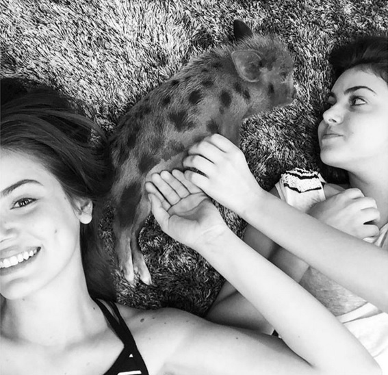 E, num momento de descanso, mais cliques! "Com essa chuva bateu uma preguiçaaa, né Lili?", escreveu Camila - Reprodução/Instagram/camilaqueiroz