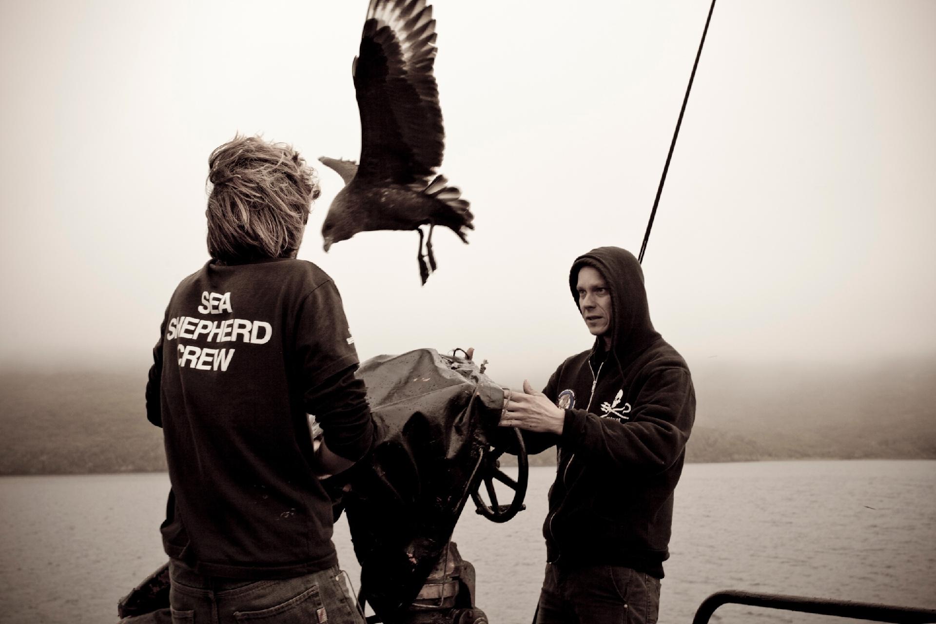 Fotos de Barbara Veiga durante expedição na Antártida - Barbara Veiga