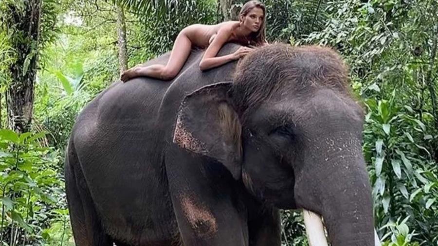 A modelo de 22 anos, Alesya Kafelnikova, posa em cima de um elefante durante viagem a Bali, na Indonésia - Reprodução/Instagram