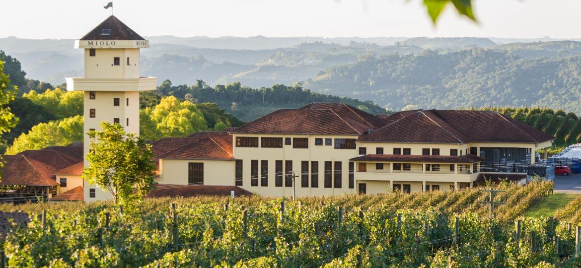 Vinhedos da Miolo, em Bento Gonçalves - Getty Images