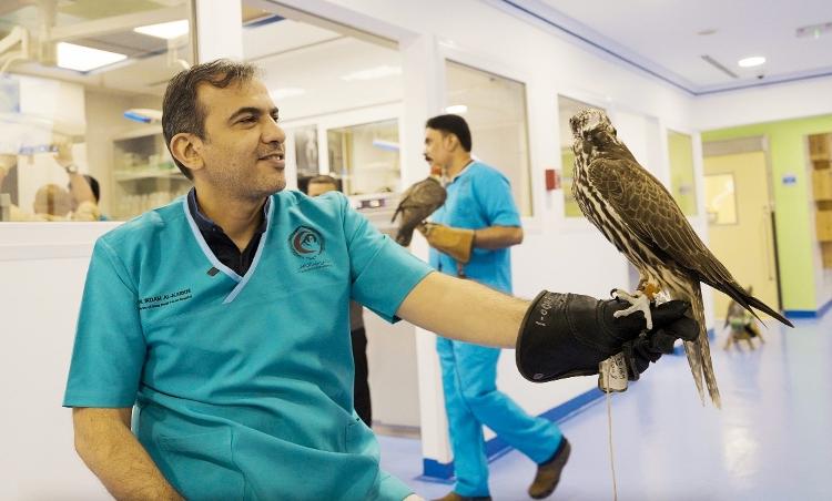 O diretor do hospital de falcões, Ikdam Majed Alkarkhi: paixão pela arte da falcoaria - Amanda Noventa/ysoke - Amanda Noventa/UOL