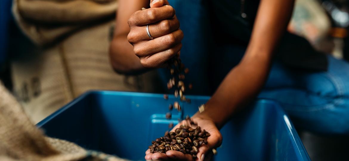 Da produção de grãos à degustação de cafés especiais, as mulheres estão mergulhando no mundo da bebida - Getty Images/iStockphoto