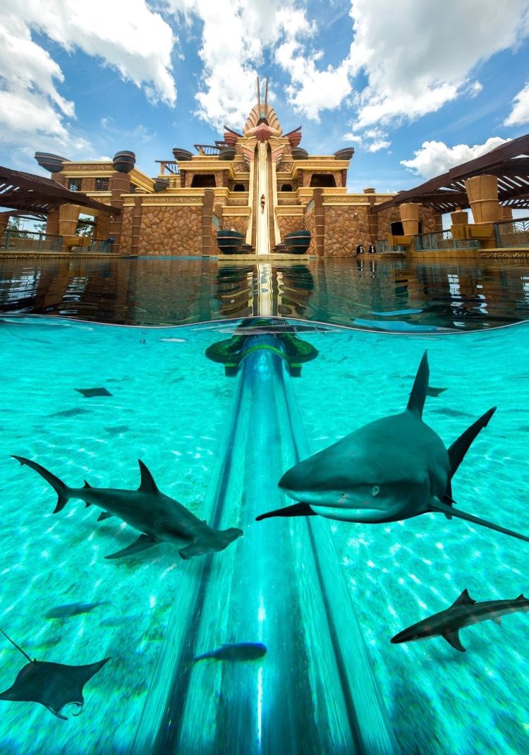 Leap of Faith, no Atlantis Sanya